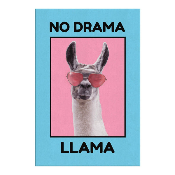 Llama Drama Kids Nail Wraps – So Gloss