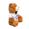 Teddy bear plush with Allistrations logo eye t-shirt