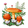 Amanita caesarea mushrooms gildan unisex t-shirt